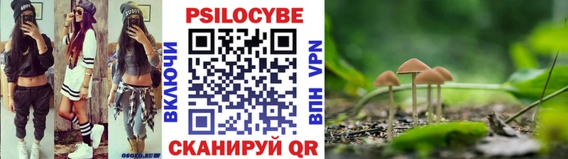 Купить  Буйнакск  Псилоцибиновые грибы мицелий 